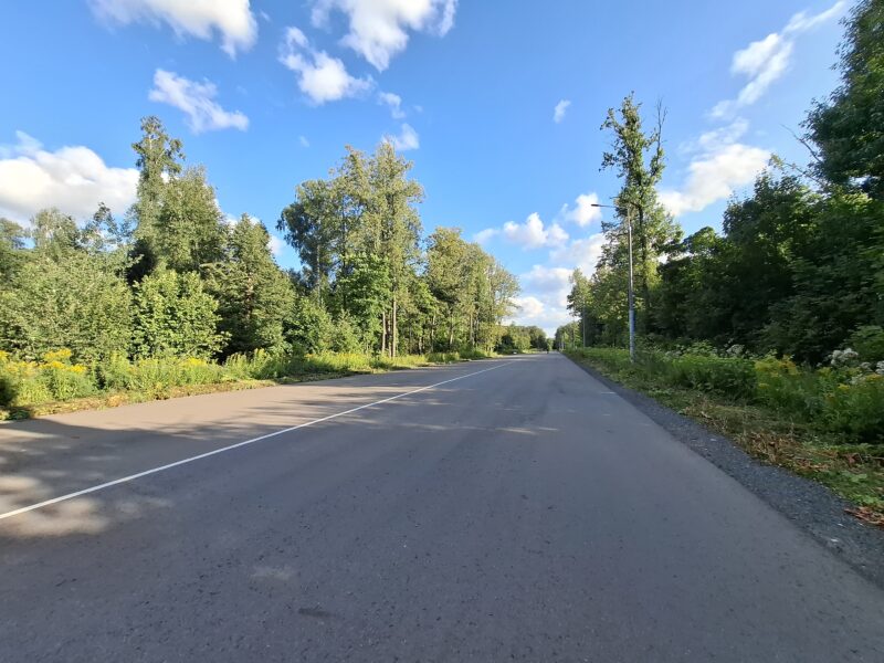 Дорожки в парке Лосиный остров, состояние на 10 августа 2026 по отзыву, фото 2. 